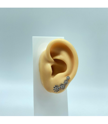 TREPADORES MARGARITA